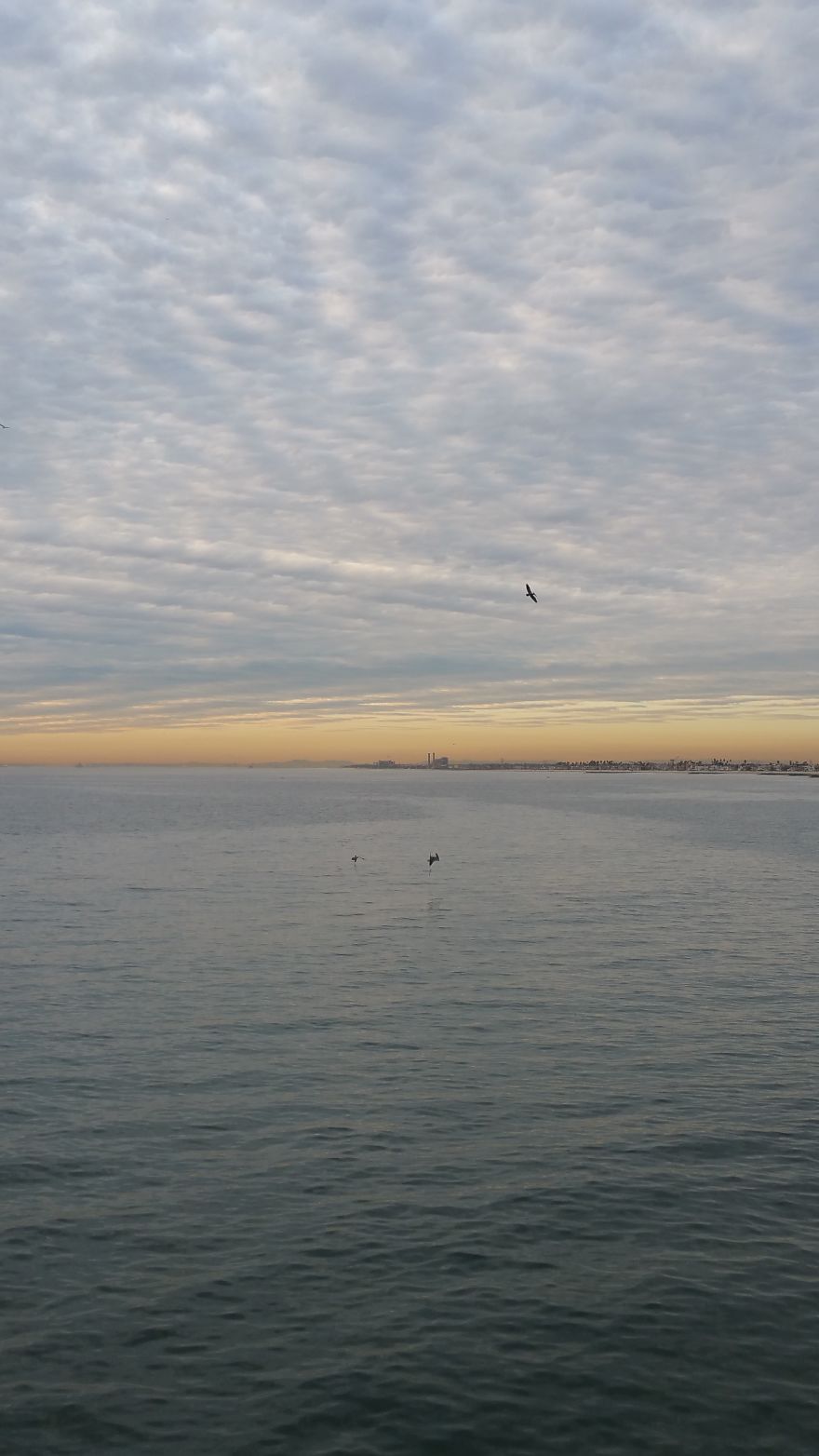 An Introvert And His Camera Phone An Introvert And His Camera Phone