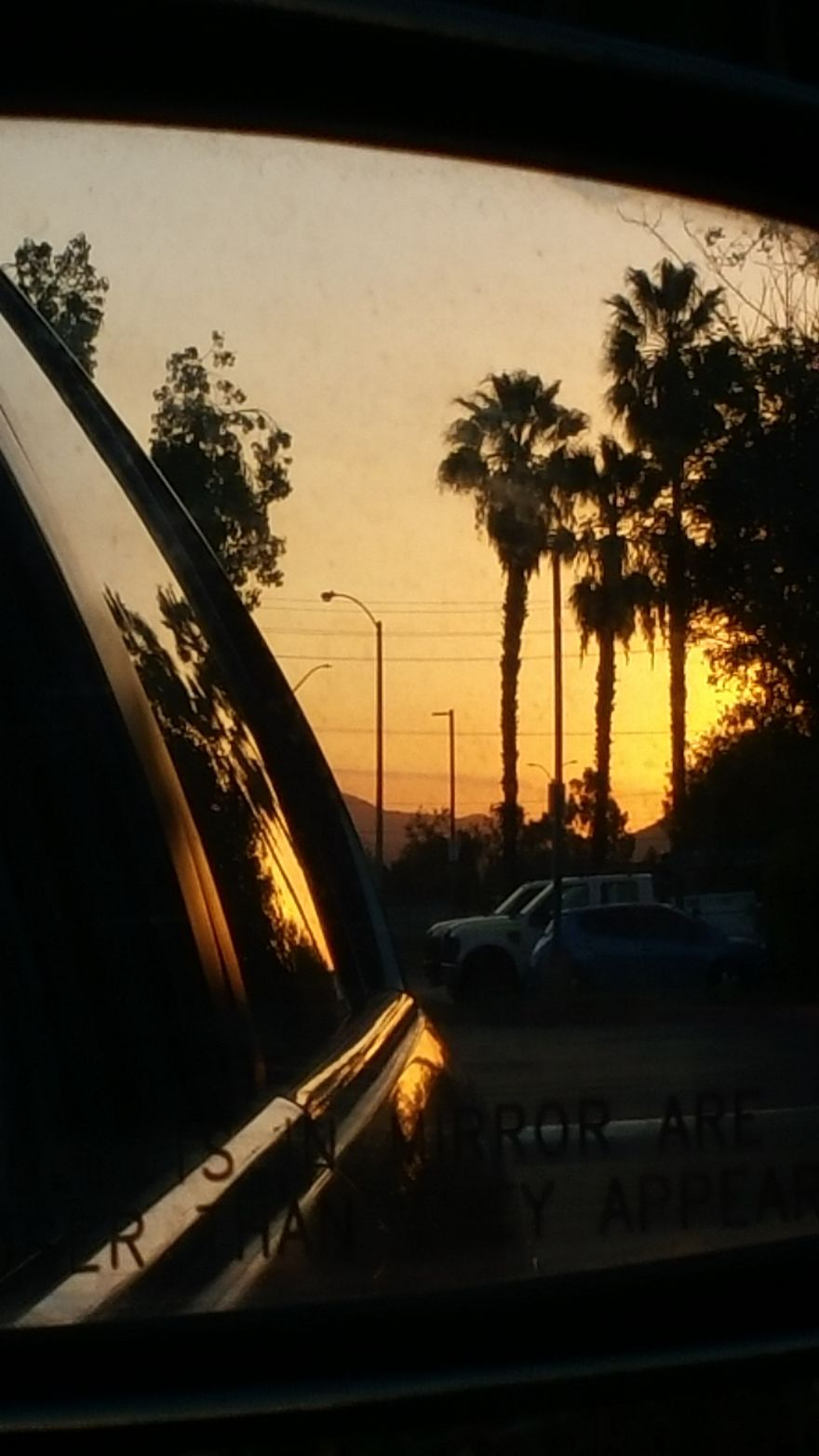 An Introvert And His Camera Phone