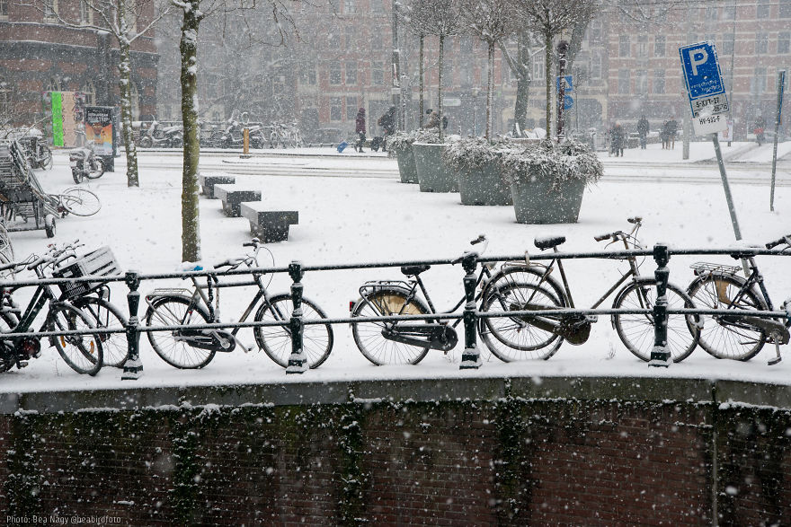 I Photographed Amsterdam Looking Like A Fairy Tale After A Snowfall I Photographed Amsterdam Looking Like A Fairy Tale After A Snowfall