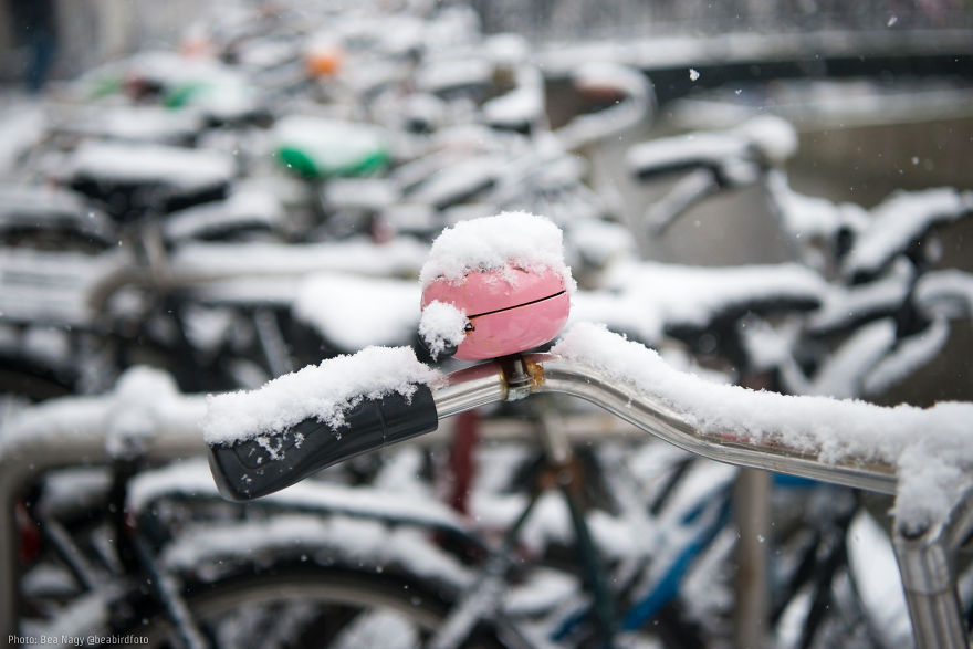 I Photographed Amsterdam Looking Like A Fairy Tale After A Snowfall I Photographed Amsterdam Looking Like A Fairy Tale After A Snowfall