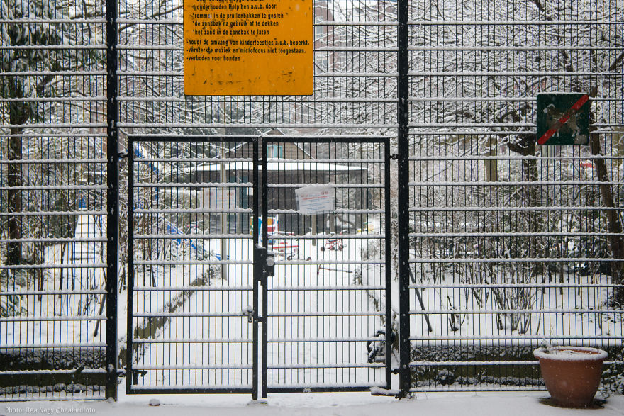 I Photographed Amsterdam Looking Like A Fairy Tale After A Snowfall