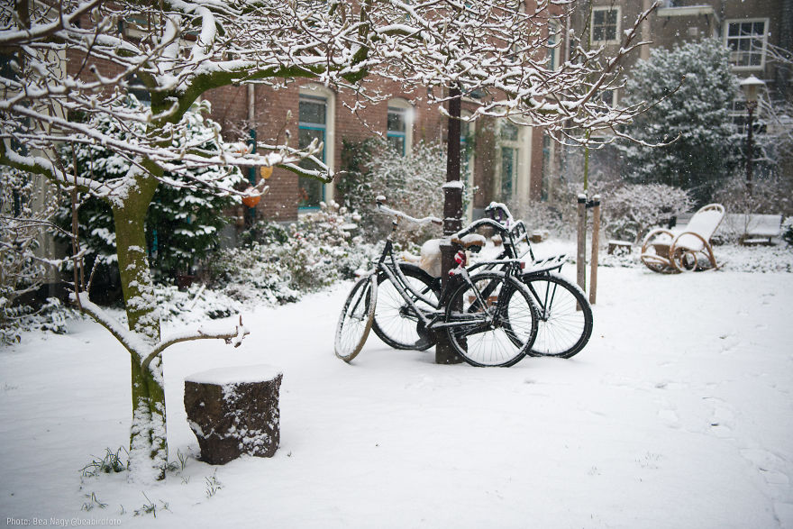 I Photographed Amsterdam Looking Like A Fairy Tale After A Snowfall
