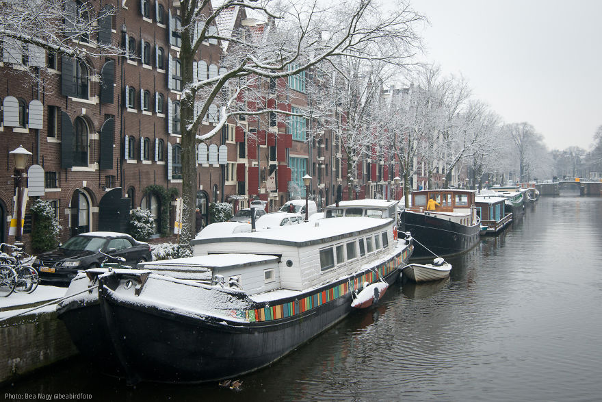 I Photographed Amsterdam Looking Like A Fairy Tale After A Snowfall I Photographed Amsterdam Looking Like A Fairy Tale After A Snowfall