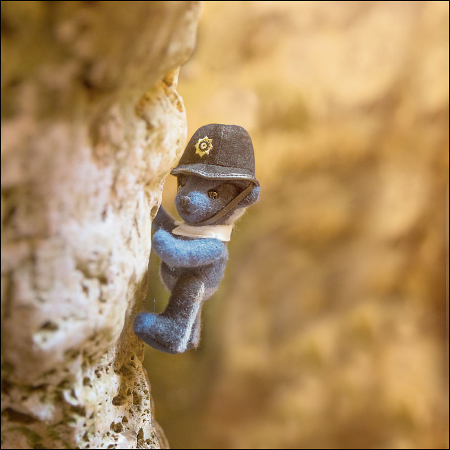 Burbeary Bob - The Travelling Bear