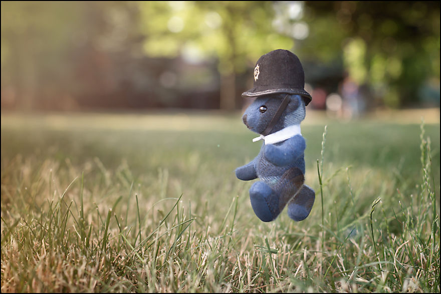 Burbeary Bob - The Travelling Bear