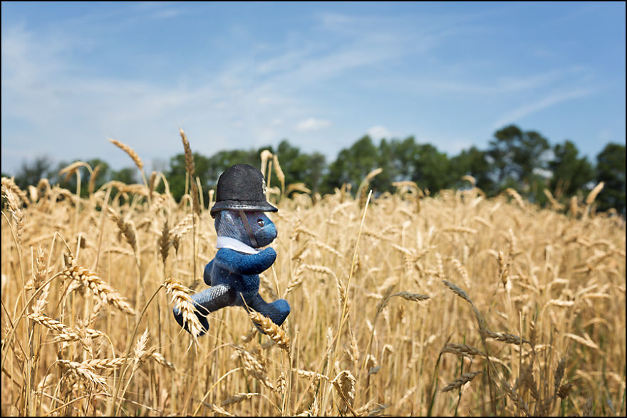 Burbeary Bob - The Travelling Bear