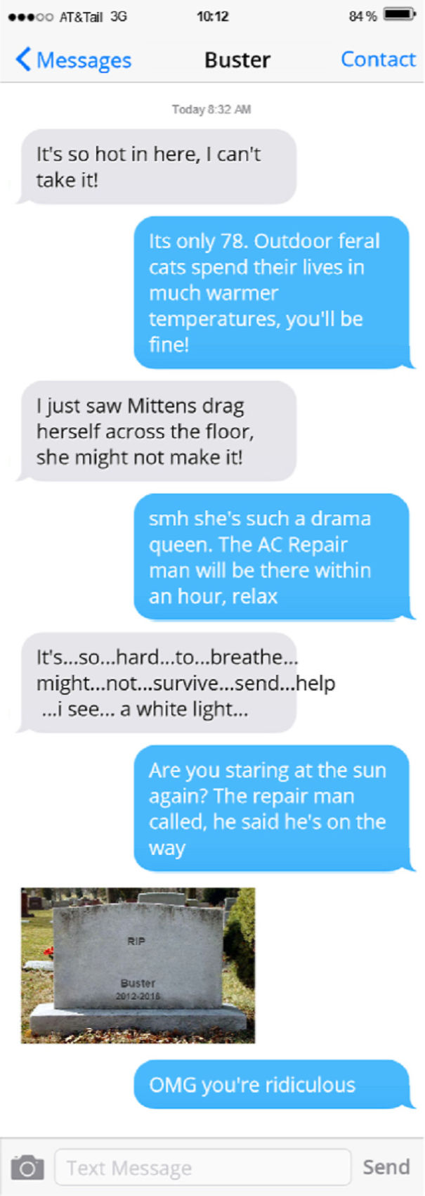 Texts From My Cats Compilation (part 2) Texts From My Cats Compilation (part 2)