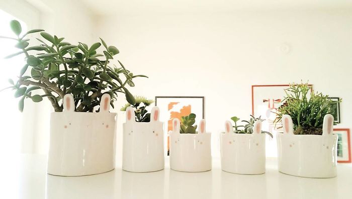 Ceramic Creatures To Keep You Company