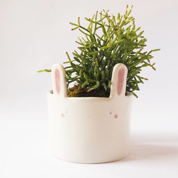 Ceramic Creatures To Keep You Company