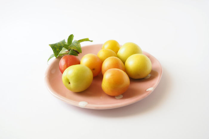 Ceramic Creatures To Keep You Company