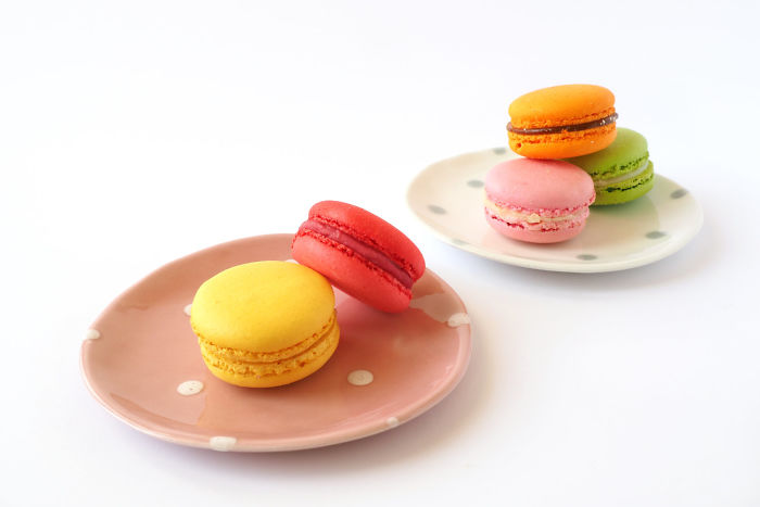 Ceramic Creatures To Keep You Company