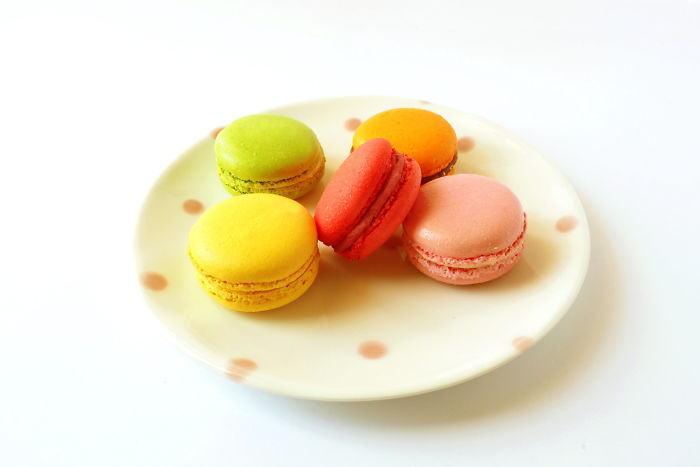 Ceramic Creatures To Keep You Company