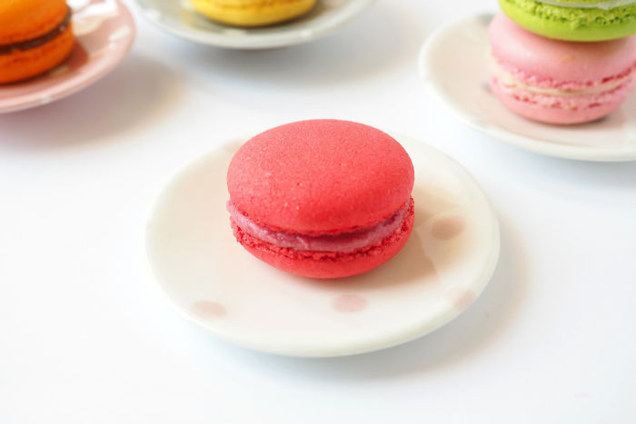 Ceramic Creatures To Keep You Company