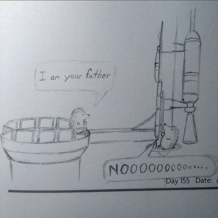 10 Adorable Hedgehog Pencil Drawings 10 Adorable Hedgehog Pencil Drawings