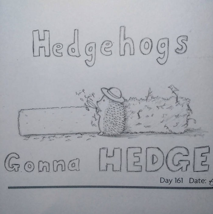 10 Adorable Hedgehog Pencil Drawings