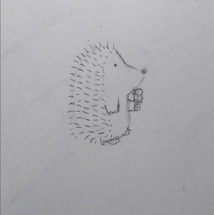 10 Adorable Hedgehog Pencil Drawings 10 Adorable Hedgehog Pencil Drawings