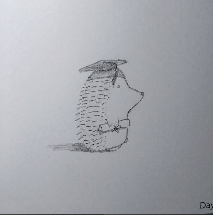 10 Adorable Hedgehog Pencil Drawings 10 Adorable Hedgehog Pencil Drawings