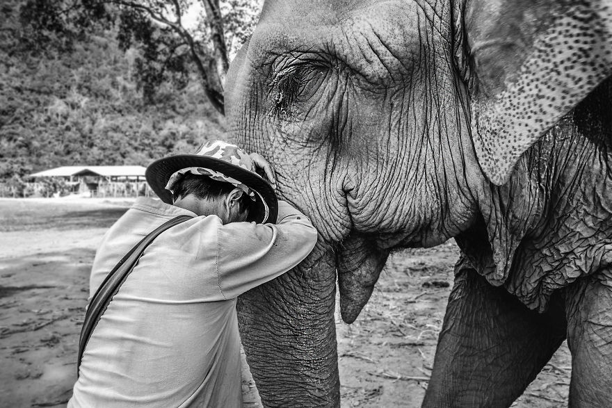 Volunteering At Elephant Shelters Became Our New Way Of Travelling Volunteering At Elephant Shelters Became Our New Way Of Travelling