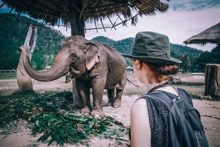 Volunteering At Elephant Shelters Became Our New Way Of Travelling