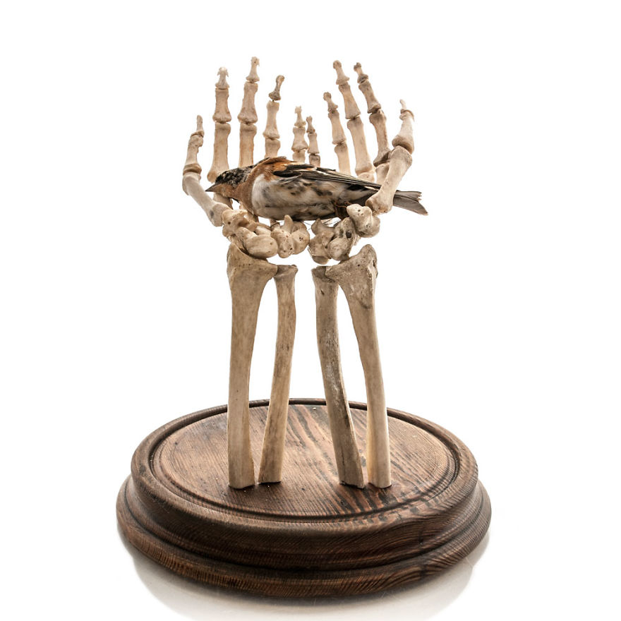 Taking Real Human Bones And Giving Them A New Lease Of Life Taking Real Human Bones And Giving Them A New Lease Of Life