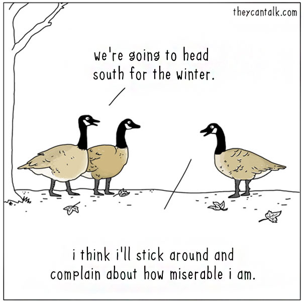 Funny Animal Comics