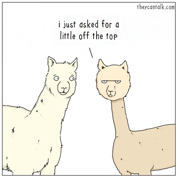 Funny Animal Comics