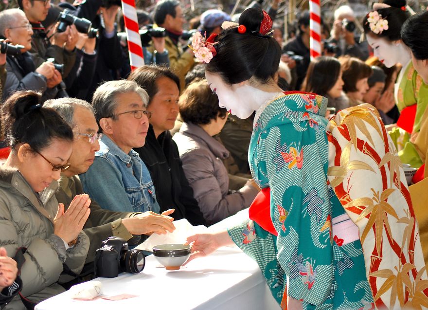 Geisha Tea Ceremony In Kyoto Geisha Tea Ceremony In Kyoto