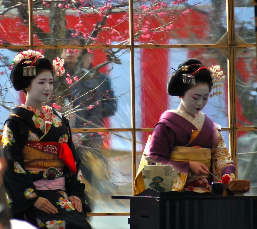 Geisha Tea Ceremony In Kyoto Geisha Tea Ceremony In Kyoto