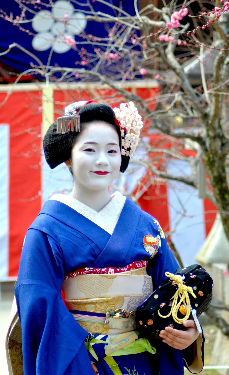Geisha Tea Ceremony In Kyoto Geisha Tea Ceremony In Kyoto