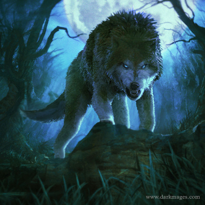 Great Illustrations From Dark Mages Card Game