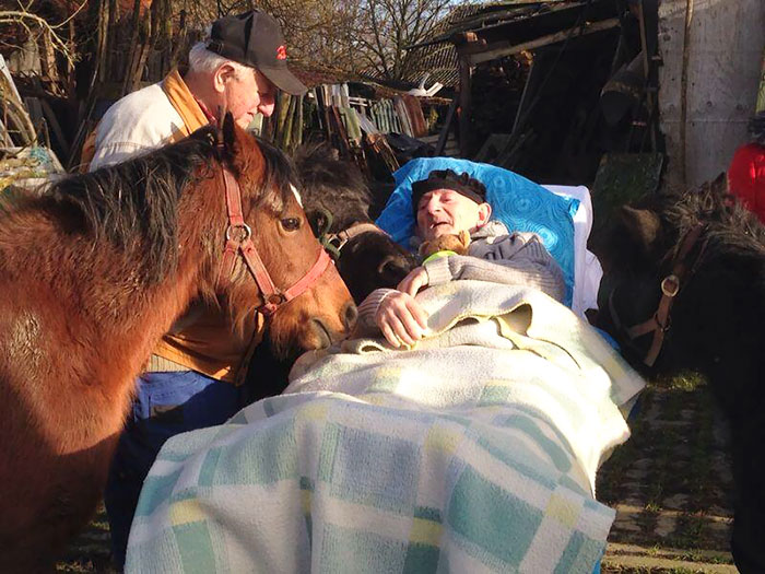 His Last Wish Was Seeing His Ponies