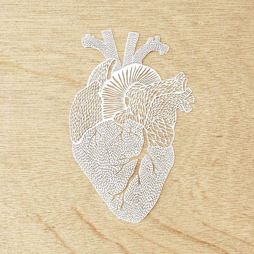 I Hand-Cut Anatomical Organs Out Of Paper I Hand-Cut Anatomical Organs Out Of Paper