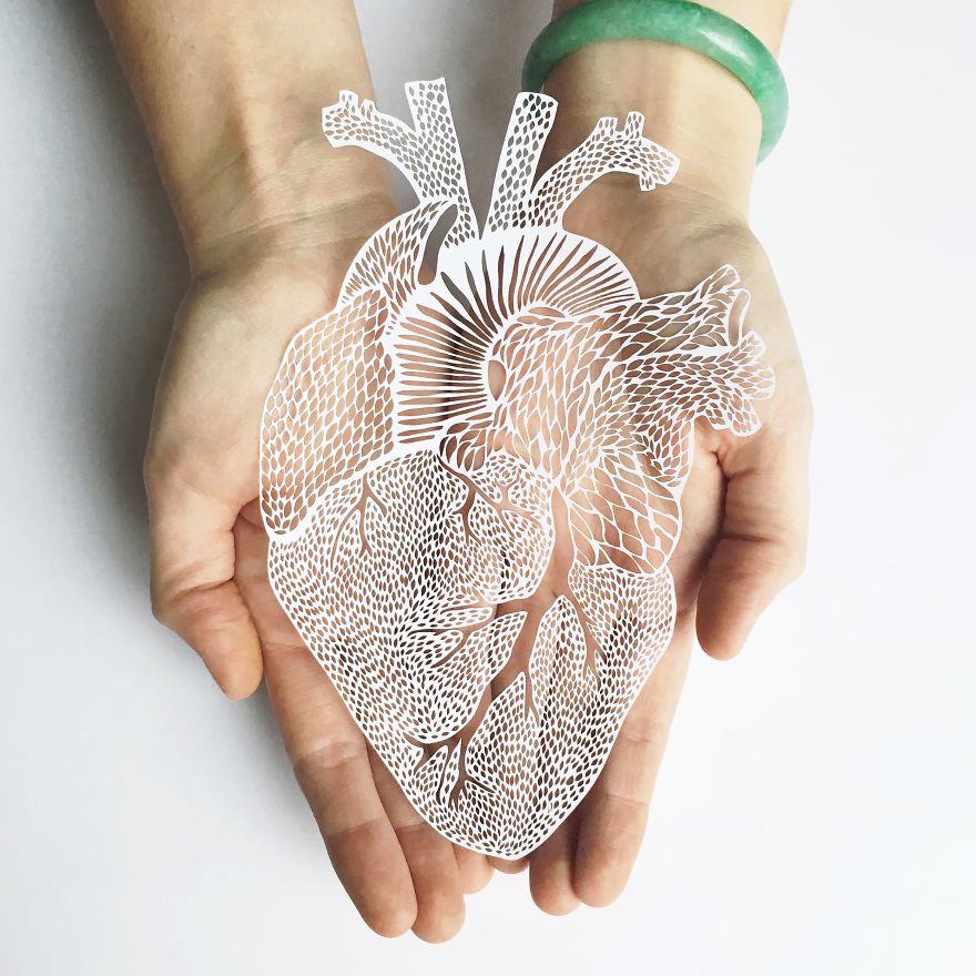 I Hand-Cut Anatomical Organs Out Of Paper I Hand-Cut Anatomical Organs Out Of Paper