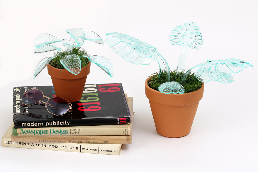 I Make Evergreen Plants That Glow In The Dark I Make Evergreen Plants That Glow In The Dark