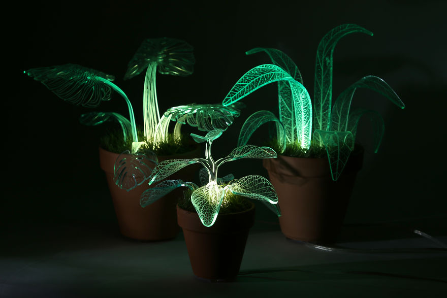 I Make Evergreen Plants That Glow In The Dark I Make Evergreen Plants That Glow In The Dark