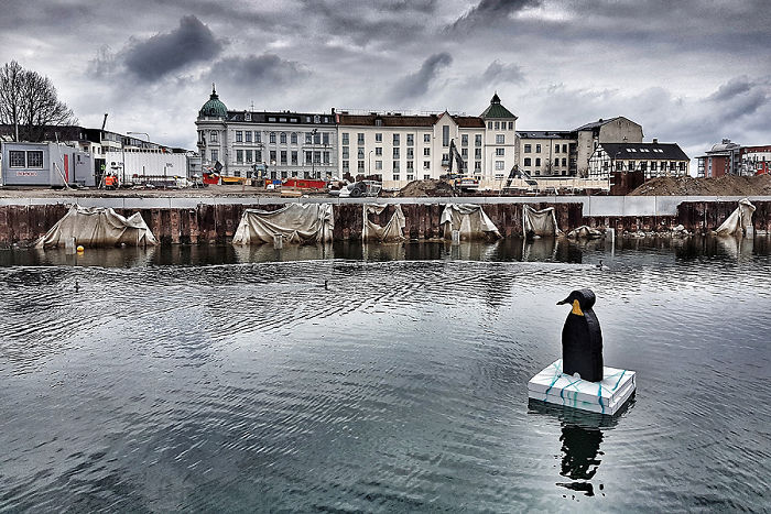 I Made Penguin Sculptures And Placed Them In The Waters Around My Town To Raise Awareness About Global Warming