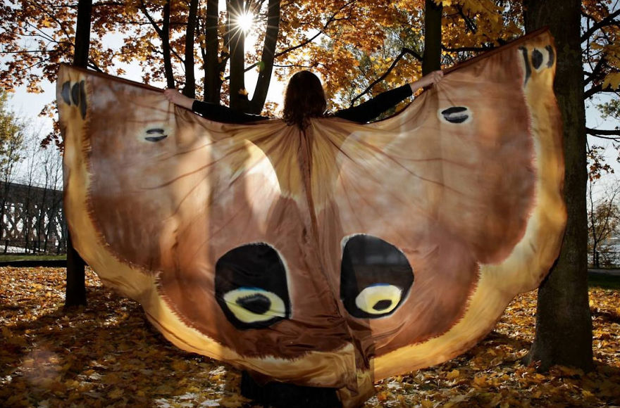 I Paint Silk Butterfly Wings