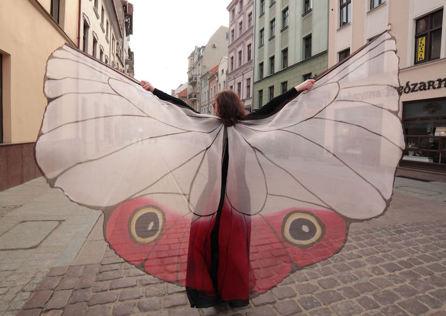 I Paint Silk Butterfly Wings