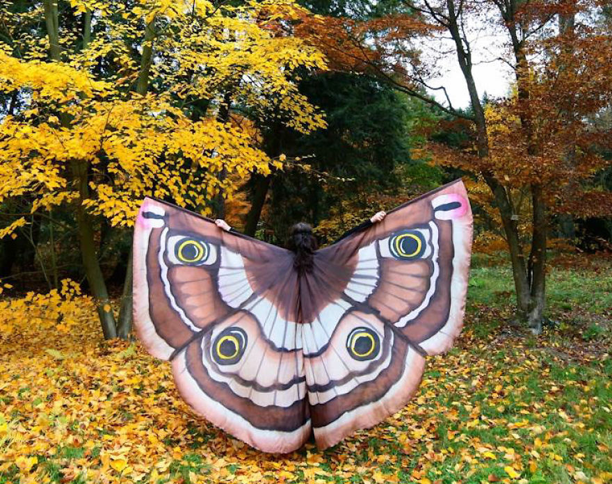 I Paint Silk Butterfly Wings