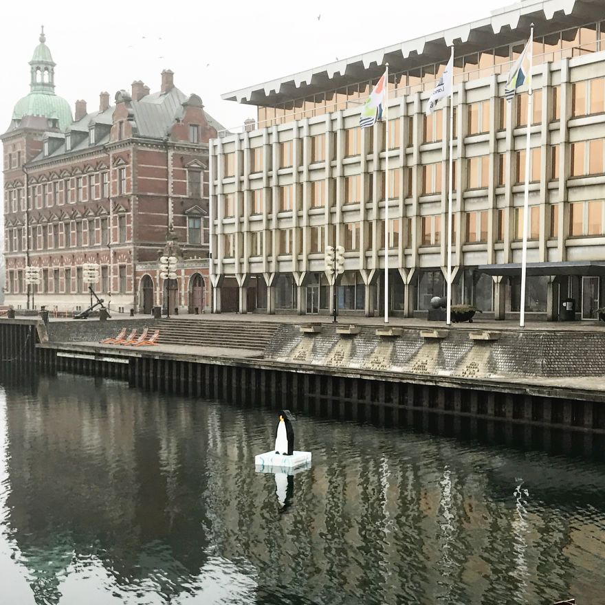 I Made Penguin Sculptures And Placed Them In The Waters Around My Town To Raise Awareness About Global Warming I Made Penguin Sculptures And Placed Them In The Waters Around My Town To Raise Awareness About Global Warming