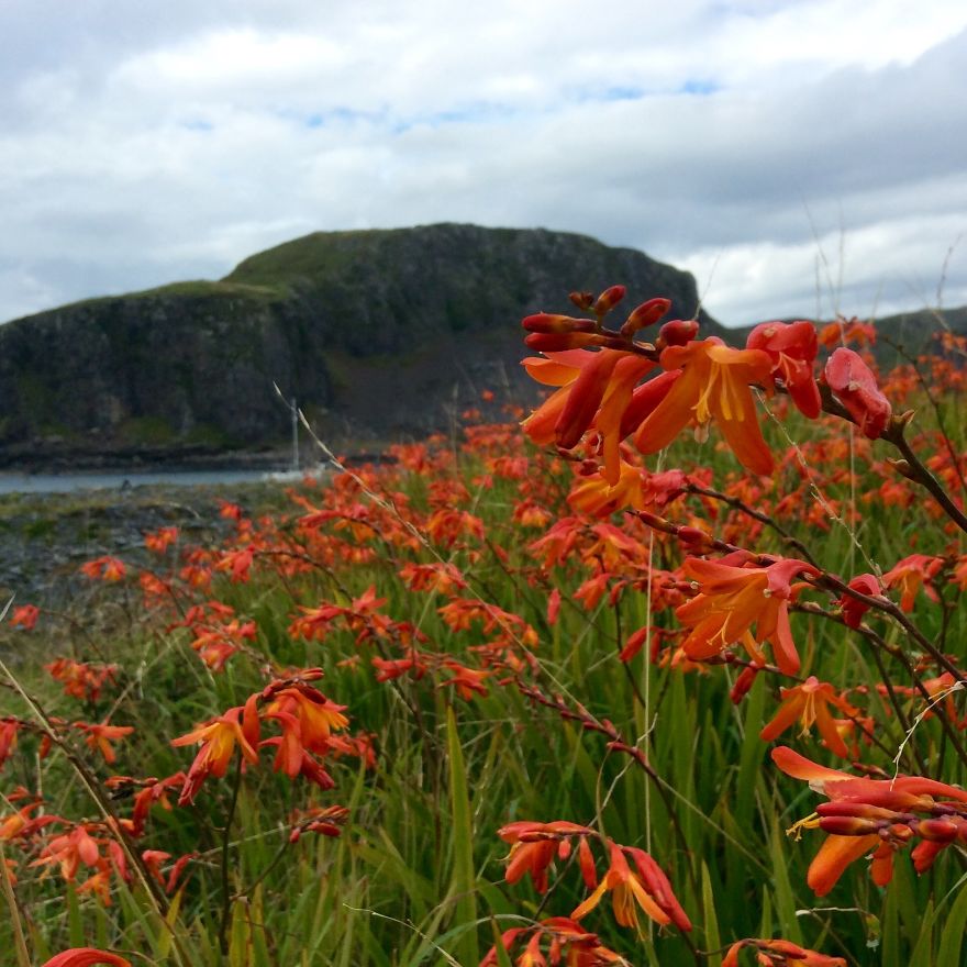 I Spent A Week On The Scottish Island Of Easdale, Here Are Some Of My Photos I Spent A Week On The Scottish Island Of Easdale, Here Are Some Of My Photos