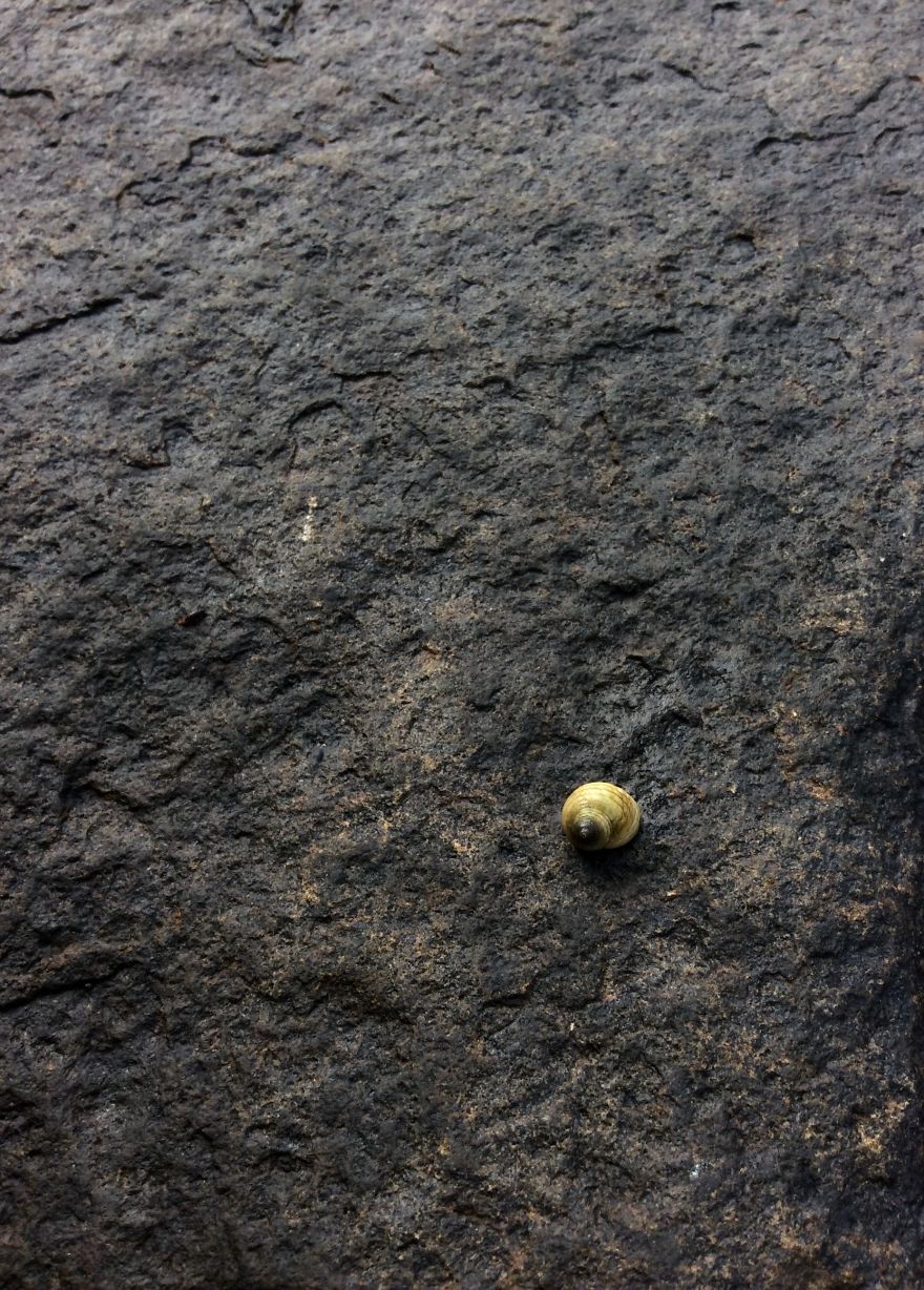 I Spent A Week On The Scottish Island Of Easdale, Here Are Some Of My Photos I Spent A Week On The Scottish Island Of Easdale, Here Are Some Of My Photos