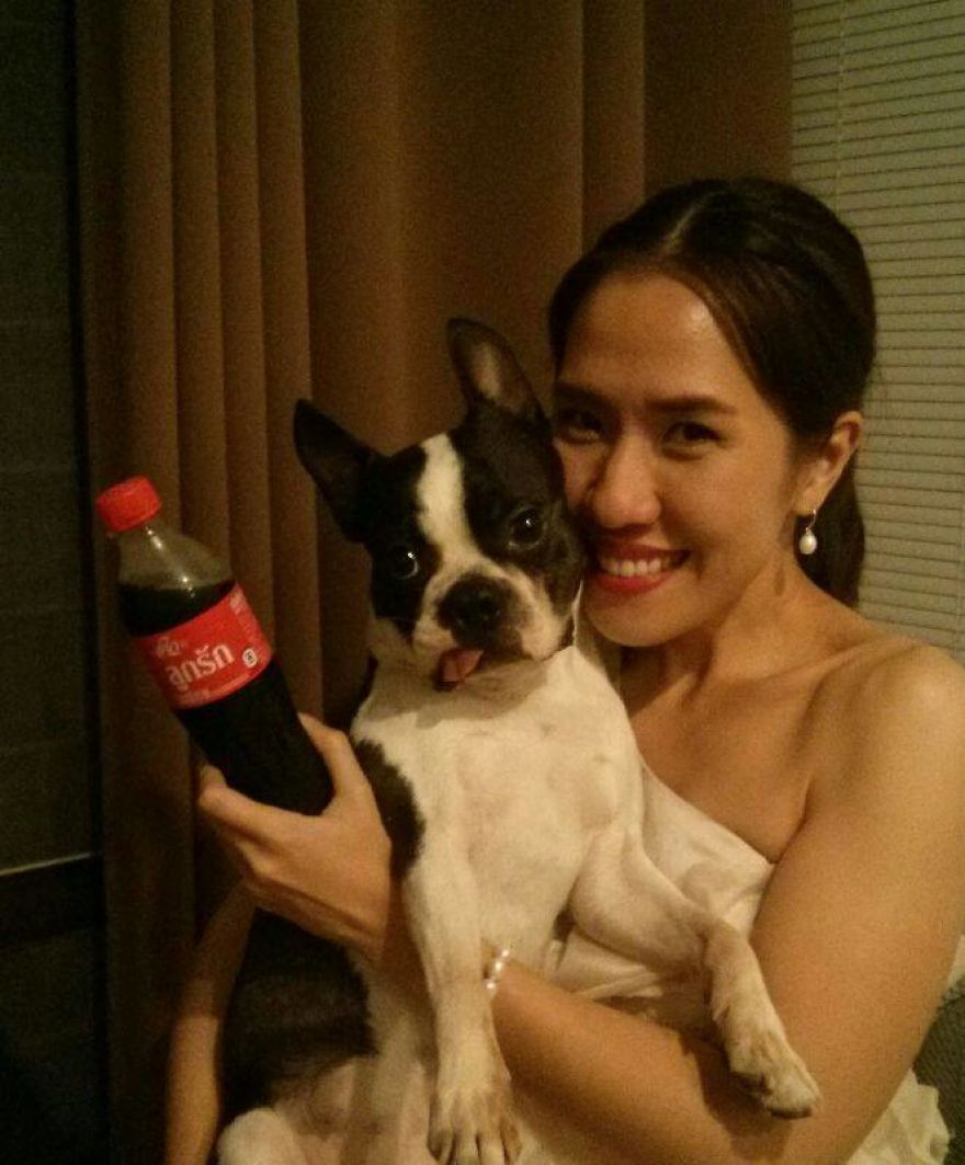 This Puppy Was Found Badly Wounded And Scared Of Everyone So We Decided To Rescue Her This Puppy Was Found Badly Wounded And Scared Of Everyone So We Decided To Rescue Her