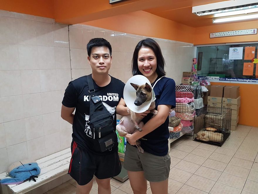 This Puppy Was Found Badly Wounded And Scared Of Everyone So We Decided To Rescue Her This Puppy Was Found Badly Wounded And Scared Of Everyone So We Decided To Rescue Her