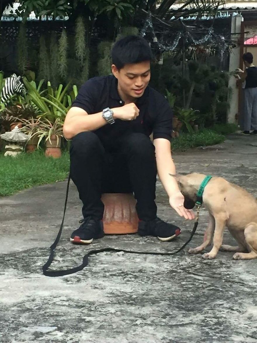 This Puppy Was Found Badly Wounded And Scared Of Everyone So We Decided To Rescue Her This Puppy Was Found Badly Wounded And Scared Of Everyone So We Decided To Rescue Her