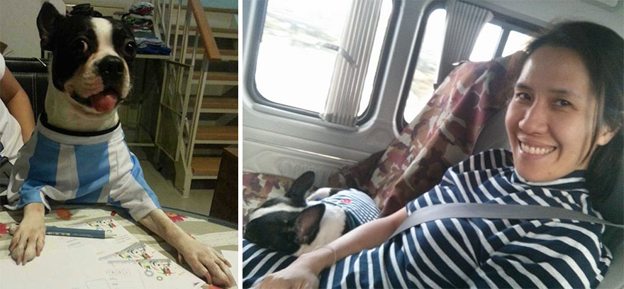 This Puppy Was Found Badly Wounded And Scared Of Everyone So We Decided To Rescue Her This Puppy Was Found Badly Wounded And Scared Of Everyone So We Decided To Rescue Her