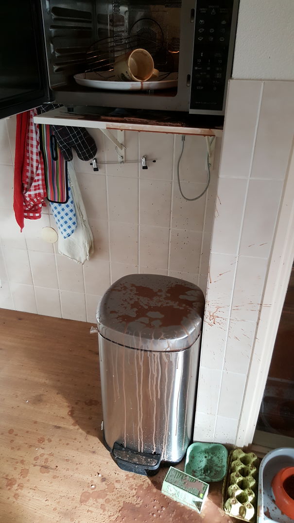 I Tried To Make Hot Chocolate....