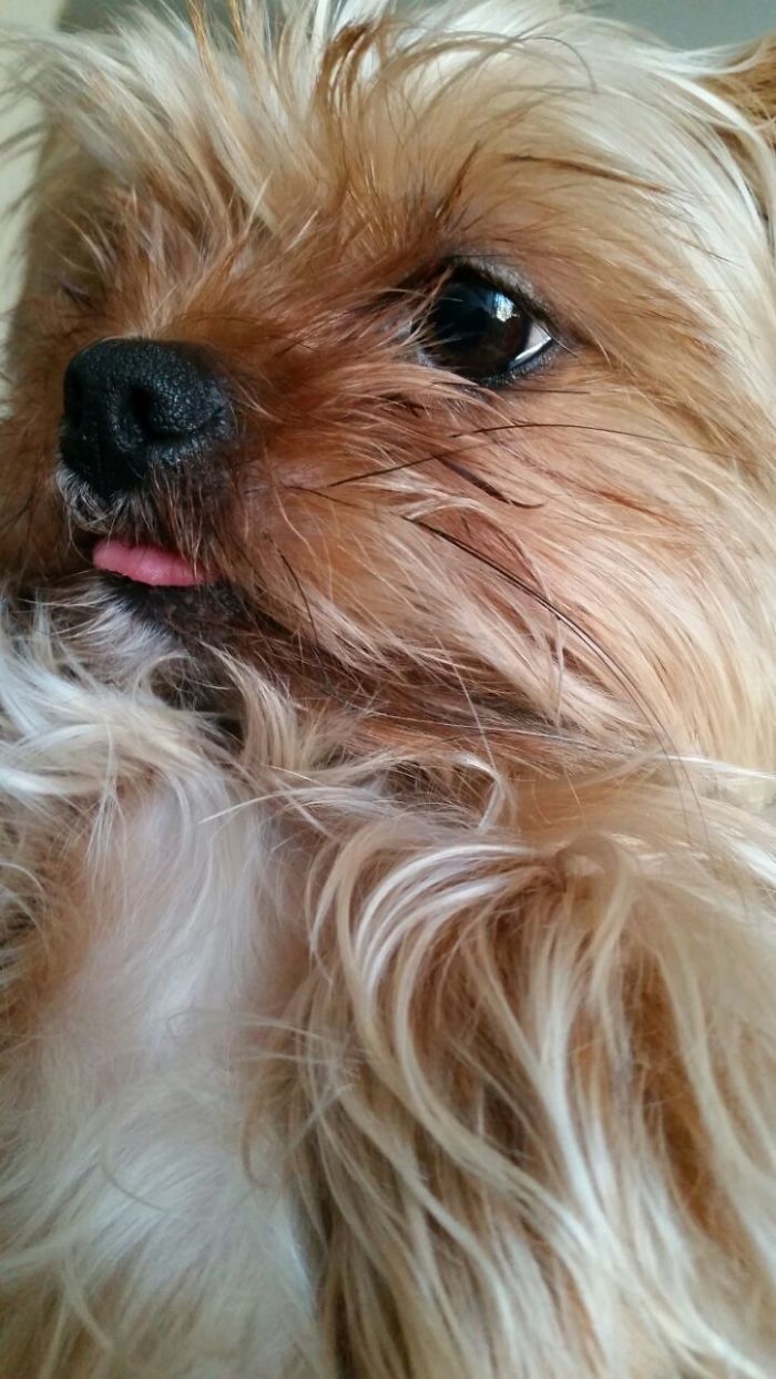 I Will Just Have A Taste