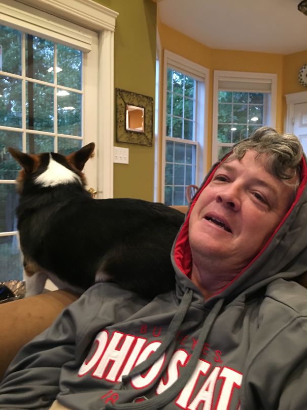 My Dad Said He Doesn't Like Dogs