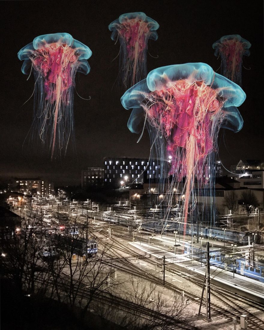 I Like To Capture Special Moments With My Iphone And Add A Surreal Twist To Them (part 3)